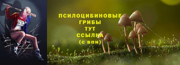 apvp Костерёво
