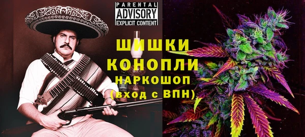 СК Снежногорск