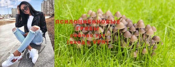 кристаллы Козельск