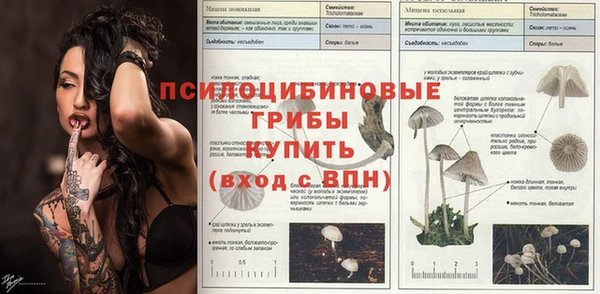 ПСИЛОЦИБИНОВЫЕ ГРИБЫ Корсаков