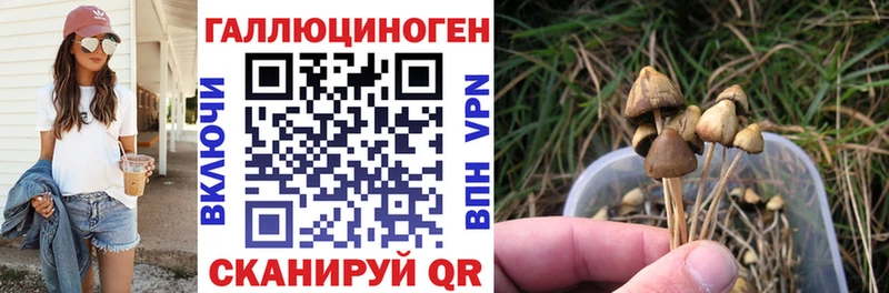 Галлюциногенные грибы GOLDEN TEACHER  дарк нет какой сайт  Ковдор 